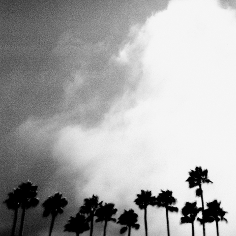 Richard Rose Radiation Breeze (LP) 