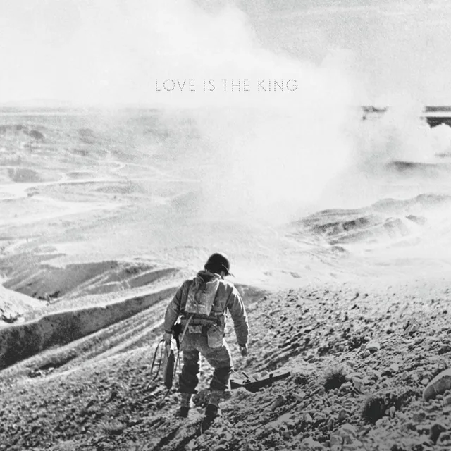 Jeff Tweedy Love Is The King - LTD (LP) 