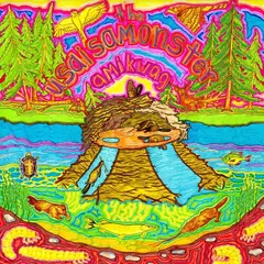 Usaisamonster Amikwag (LP)
