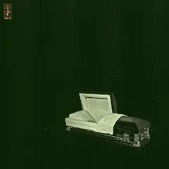 Holy Sons Raw And Disfigured (2LP)
