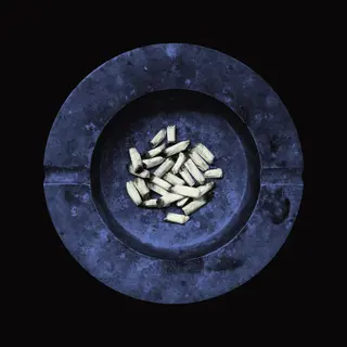 Laura Jane Grace Stay Alive (LP)