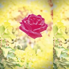 Lambchop Trip (LP)
