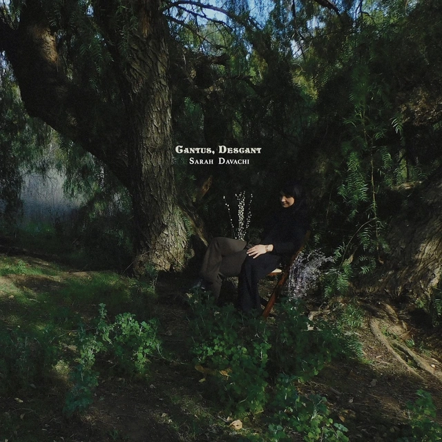 Sarah Davachi Cantus, Descant (2LP) 