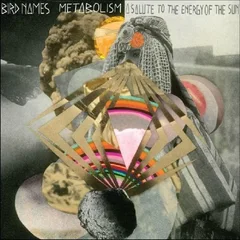 Bird Names Metabolism: A Salute To The Energy… (LP)