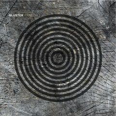 Qluster Fragen (LP)