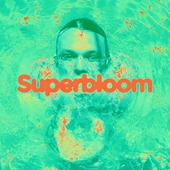 Ashton Irwin Superbloom (LP)