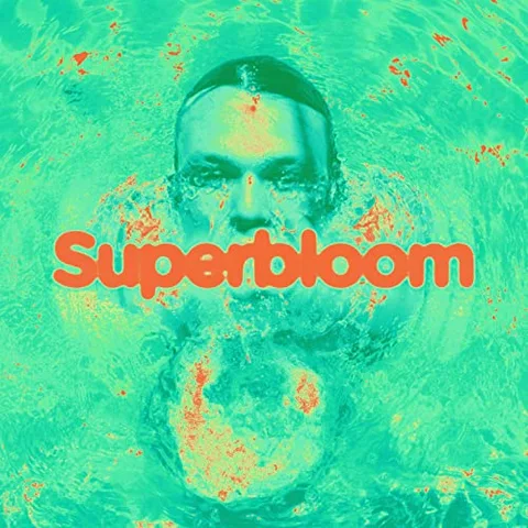 Ashton Irwin Superbloom (LP) 