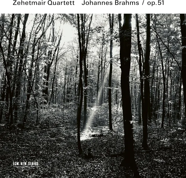 Zehetmair Quartett Brahms: Streichquartette Op. 51 (CD) 