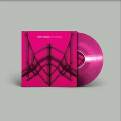 Gross Terry Soft Opening (LP)