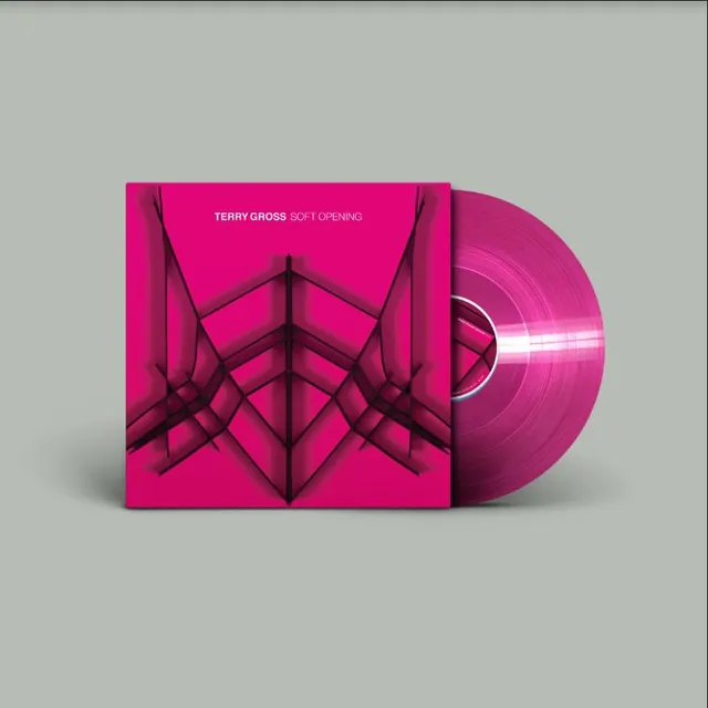 Gross Terry Soft Opening (LP) 