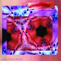 Hello Blue Roses Trade Winds (LP)