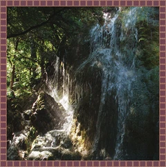 Gkfoes Vjgoaf Nature Eternal Striving (2LP)