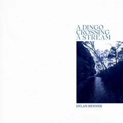 Dylan Henner A Dingo Crossing A Stream (MC)