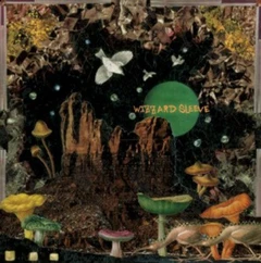 Wizzard Sleeve Make The World Go Away (LP)