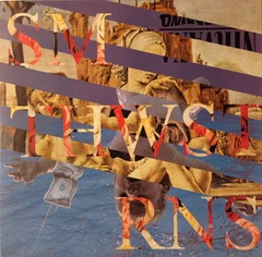 The Smith Westerns The Smith Westerns (LP)