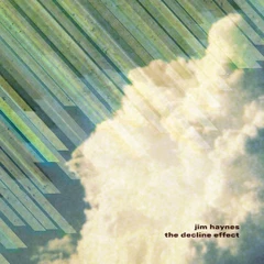 Jim Haynes The Decline Effect (2LP)