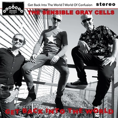 The Sensible Gray Cells Get Back Into The World - LTD (7")