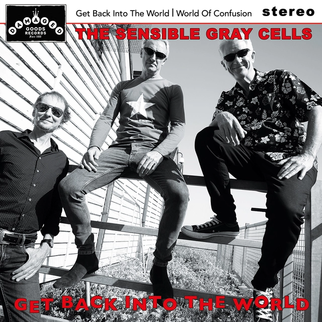 The Sensible Gray Cells Get Back Into The World - LTD (7") 