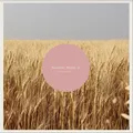Michael Scott Dawson Nowhere, Middle Of - LTD (LP)