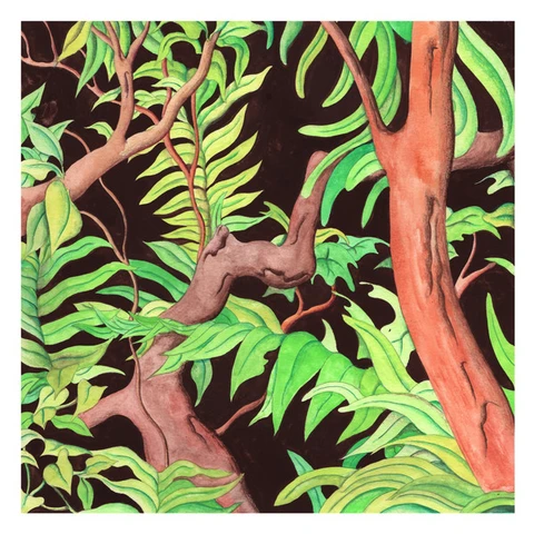 Jesse Woods Autoflower (LP) 