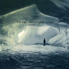 A.U.R.A. Secret Intelligent Light (LP)