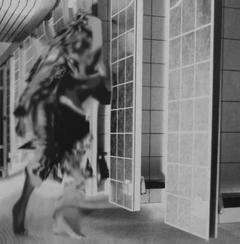 Femme Ruderal Exotique (LP)