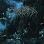 Wolves In The Throne Room Live At Roadburn 2008 (LP)
