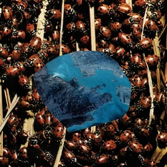 Papivores Death And Spring (LP)