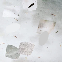 Byron Westbrook Body Consonance (LP)