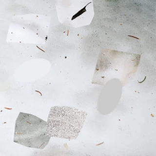 Byron Westbrook Body Consonance (LP) 