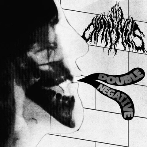 The Channels Double Negative (LP) 