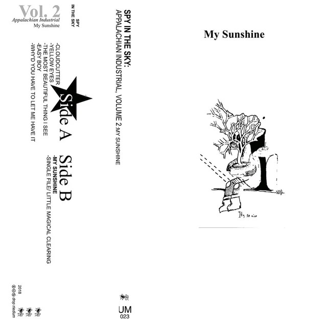 Spy In The Sky Appalachian Industrial Volume 2 (MC) 