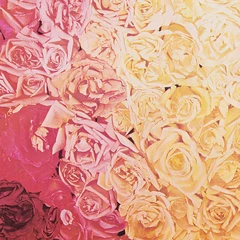 L.A. Lungs Rrest (LP)