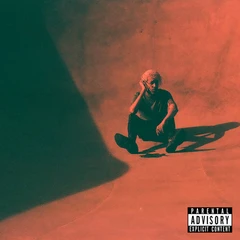 Danny Denial Fuck Danny Denial (LP)