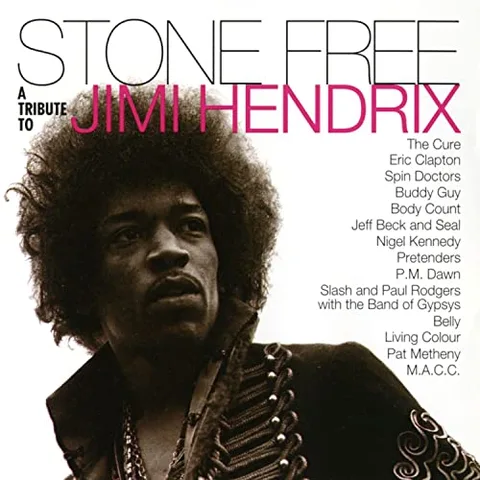 Diverse Artister/Jimi Hendrix Tribute Stone Free: A Tribute To... - LTD (2LP) 