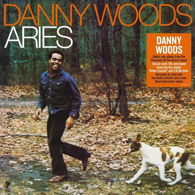 Danny Woods Airies (LP) 
