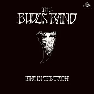 The Budos Band Long In The Tooth (LP)