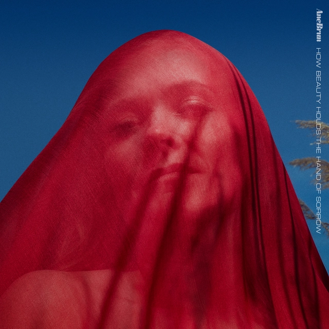 Ane Brun How Beauty Holds The Hand Of Sorrow (LP) 