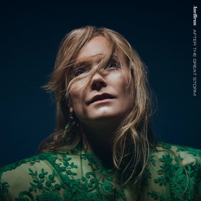 Ane Brun After The Great Storm (LP) 