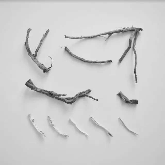 Richard Skelton These Charms May Be Sung Over … (2LP) 
