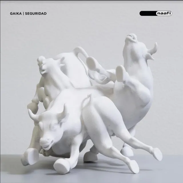 Gaika Seguridad - LTD (LP) 