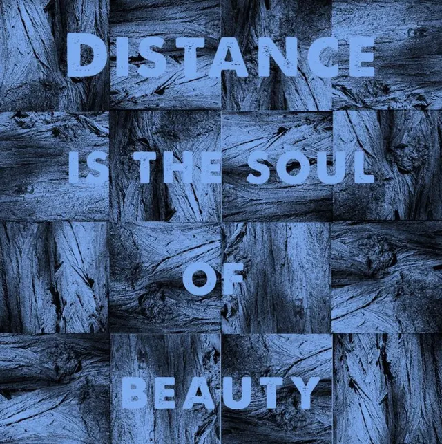 Michael J. Sheehy Distance Is The Soul Of Beauty (LP) 
