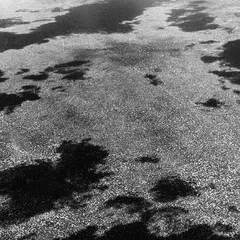 Leaving Leaving (LP)