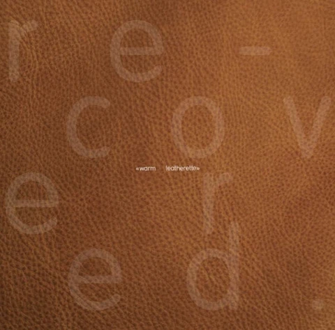 Diverse Artister Warm Leatherrette (12") 