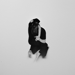 Wildbirds &amp; Peacedrums Rhythm (LP)