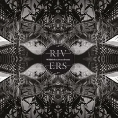 Wildbirds &amp; Peacedrums Rivers (LP)