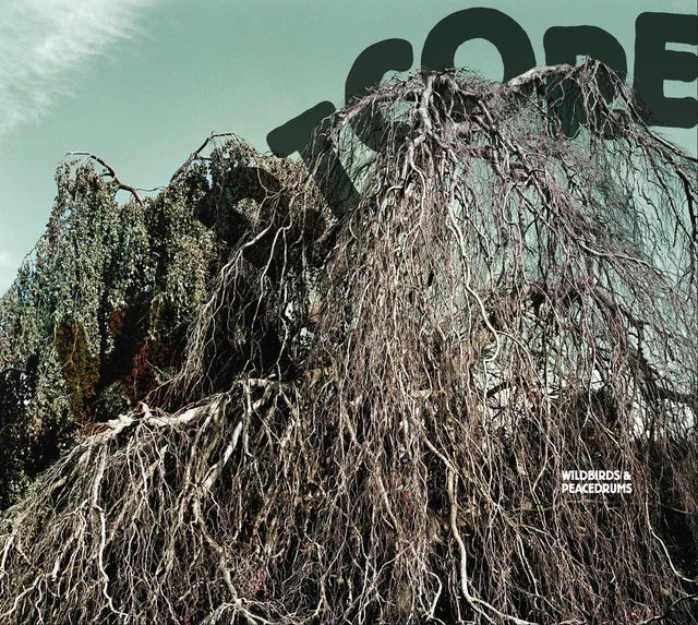Wildbirds & Peacedrums Heartcore (LP) 