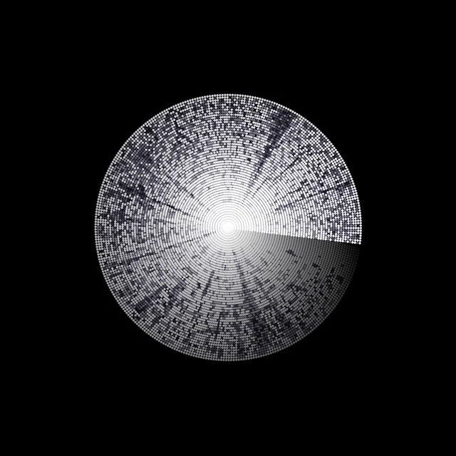 Franck Vigroux & Matthew Bourne Radioland: Radio-Activity Revisited (LP) 