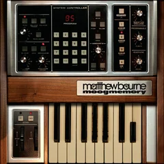 Matthew Bourne Moogmemory (LP)