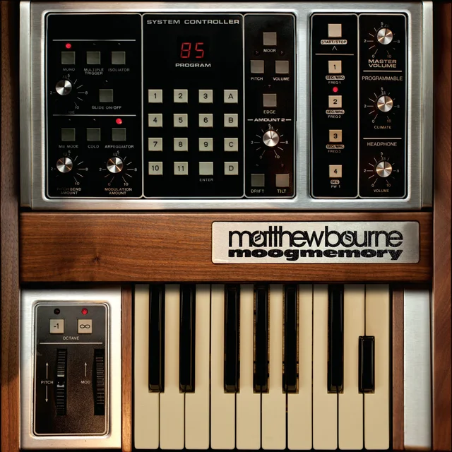 Matthew Bourne Moogmemory (LP) 